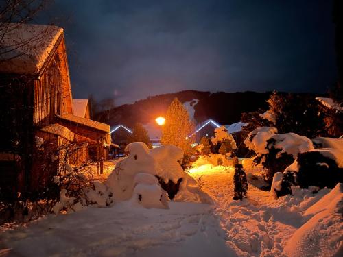 a yard covered in snow at night with a street light at Ferienhaus Kreischberg - Silberhirschen Hütte in Sankt Lorenzen ob Murau