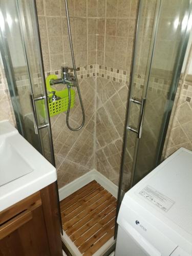 a shower with a glass door in a bathroom at EL MIRADOR DE BACHA in San Martín de Valdeiglesias