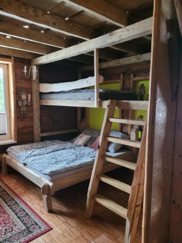 a bedroom with a bunk bed and a ladder at Rymanowskie Zamczysko in Rymanów-Zdrój