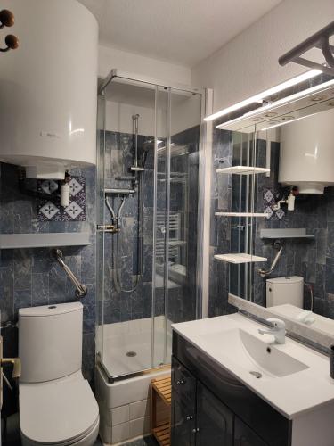 a bathroom with a shower and a toilet and a sink at Foux d Allos - Studio au cœur de la station in La Foux