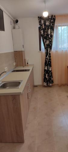 a kitchen with a sink and a counter top at Studio Lorena in Mangalia