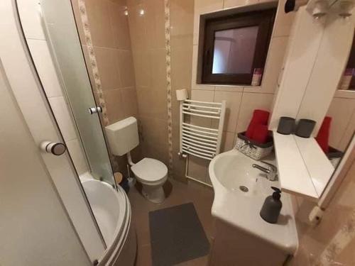 a bathroom with a white toilet and a sink at Cabana Corbu Băile Figa in Beclean
