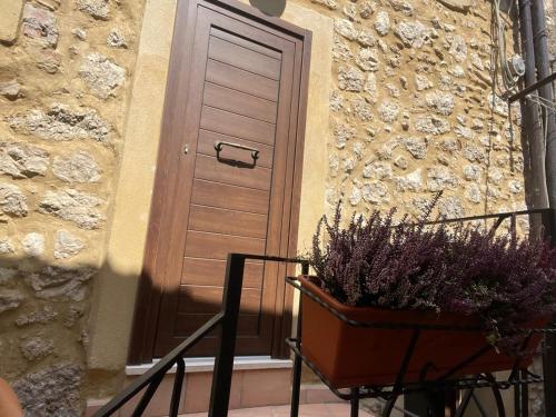 a door with a potted plant in front of a building at Il castagno in Vico nel Lazio