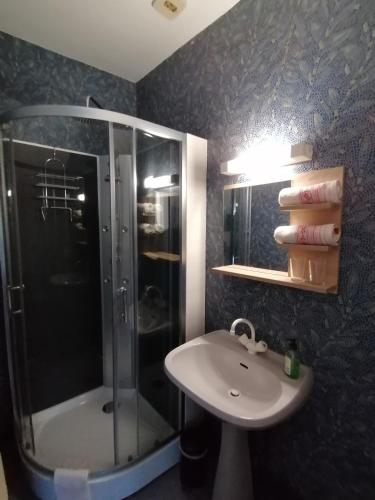 a bathroom with a shower and a sink at Chambres d'hôtes L'Astazou in Gavarnie