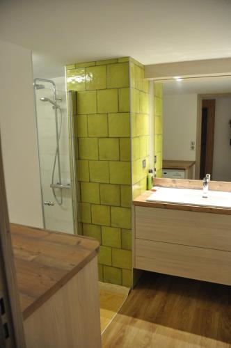 une salle de bain avec une douche, un lavabo et un miroir dans l'établissement Appartement ensoleillé, à Morzine