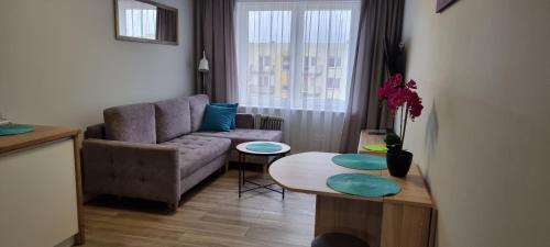 Afbeelding uit fotogalerij van Apartament Świętoszów in Świętoszów