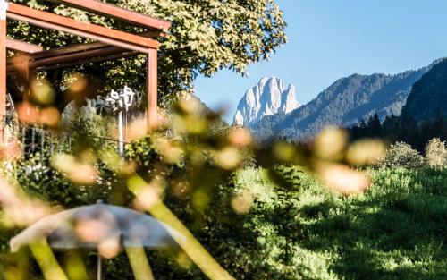 a view of a mountain from a field of grass at Hotel Weisses Rössl - Cavallino Bianco in Laion
