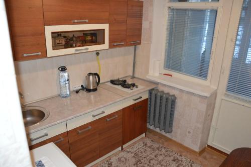 a small kitchen with wooden cabinets and a sink at Apartment Miorita in Chişinău