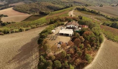 an aerial view of a large house on a hill at Sogno Proibito in Meldola