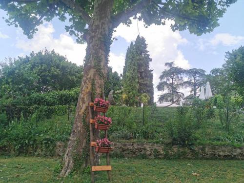 a tree with flowers on a ladder next to a tree at Villa Torricelli Scarperia - Il Giardinetto Residence in Scarperia