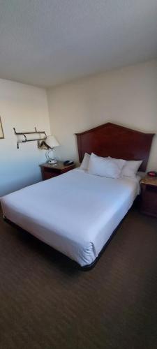 Postel nebo postele na pokoji v ubytování Days Inn by Wyndham Willmar