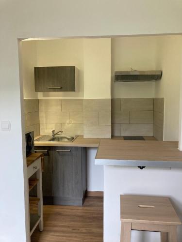 a kitchen with a sink and a counter top at L'AUBERGE DE LA GOUTILLE in Capvern