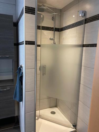 y baño con ducha y puerta de cristal. en Ferienwohnung Jasmin en Neustadt an der Weinstraße