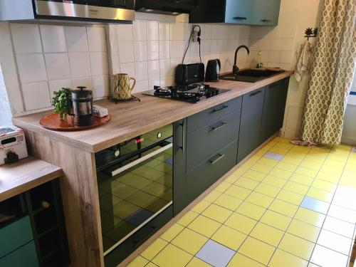 - une cuisine avec des placards verts et une cuisinière four supérieur dans l'établissement Les Marronniers, à Reillanne