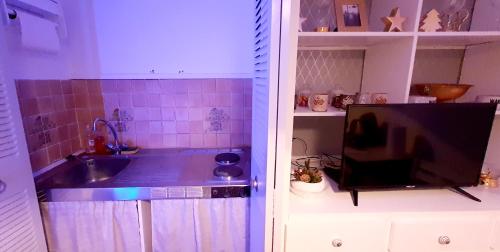 a kitchen with a sink and a flat screen tv at STUDIO en face de la forêt de FONTAINEBLEAU in Avon