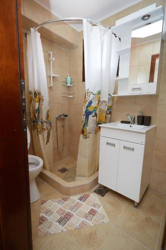 a bathroom with a shower and a sink and a toilet at Apartmani ,,Vasa ,, 1 in Soko Banja