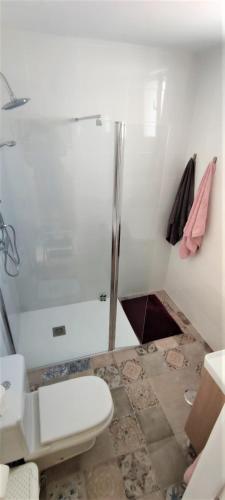 a bathroom with a glass shower and a toilet at Villa Angie in Nerja