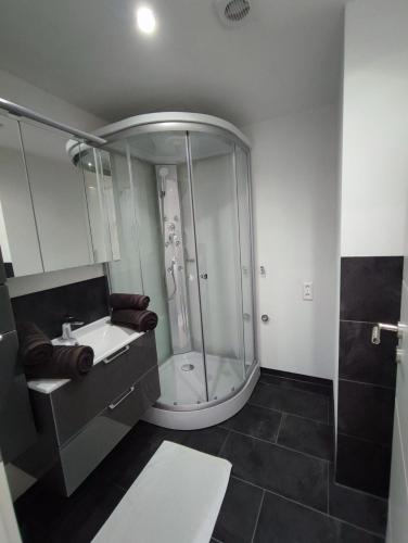 a bathroom with a shower and a sink at Elida in Burgrieden