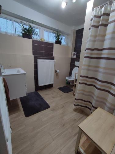 a bathroom with a sink and a toilet at Apartmán Jarka in Bodice