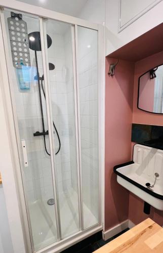 une salle de bain avec douche et lavabo dans l'établissement Studio 1 personne Toulouse Centre Jeanne d'Arc, à Toulouse