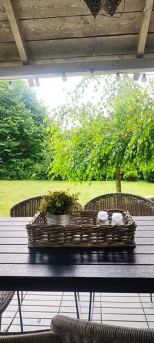 a table with plants on top of a porch at Dom Skandynawski Sen in Wałcz