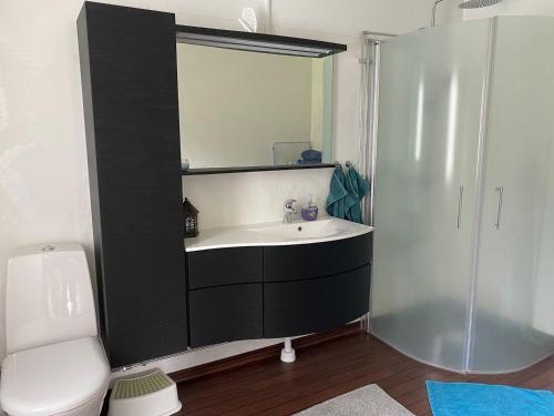 a bathroom with a sink and a mirror and a toilet at Villa Movägen Family friendly Free Wifi Lake nearby in Mörlunda