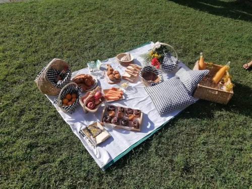 a picnic table with food on it on the grass at Benjamin Cottage Haputale in Haputale