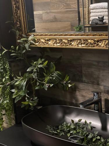 Foto da galeria de Beautiful House Lara em Kotor