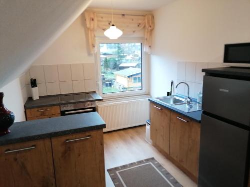 una pequeña cocina con fregadero y ventana en Apartment Lidija en Hiddenhausen