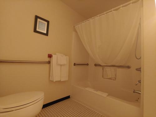 Ένα μπάνιο στο The Dublin House Motel