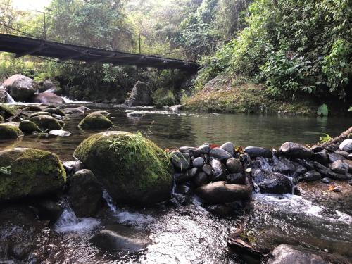 a river with rocks and a bridge over it at Cabañas Colibrí Tayutic in Turrialba