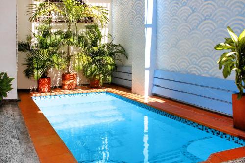 a swimming pool with potted plants in a house at La Guaca Hostel Santa Marta in Santa Marta