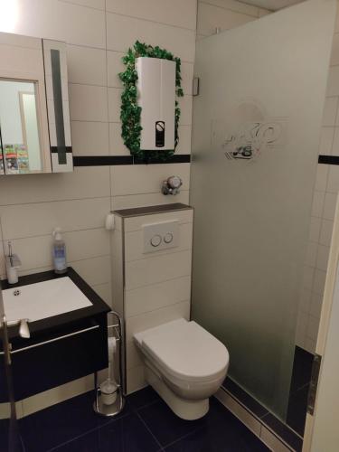 Koupelna v ubytování Ferienapartment "Alois" in Sankt Englmar
