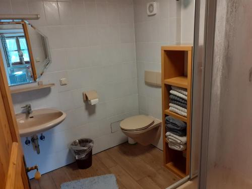 a bathroom with a toilet and a sink at Klettnerlehen in Ramsau