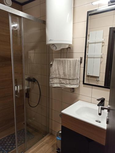 a bathroom with a shower and a sink at Lela Kop in Kopaonik