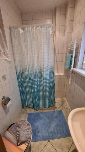 a bathroom with a shower with a blue shower curtain at Ferienwohnung Bonese in Bonese