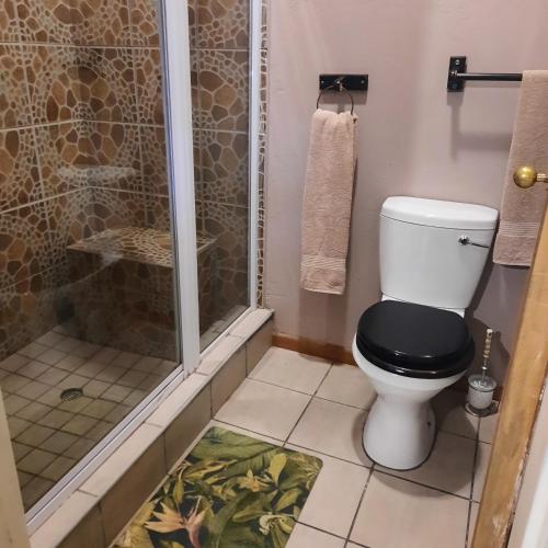 a bathroom with a toilet and a shower at Monte Roza Guest House in De Doorns