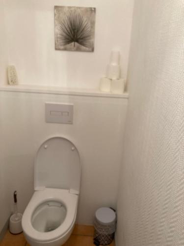 a bathroom with a toilet with the lid up at Appartement "Jardins" in Pesmes