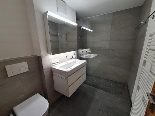 y baño con lavabo, aseo y espejo. en Alpen-fewo, Denter Vias 10, Casa Alma, en Flims