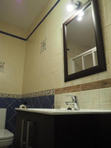 a bathroom with a sink and a mirror and a toilet at El Rincón de Anter C in Cenicientos