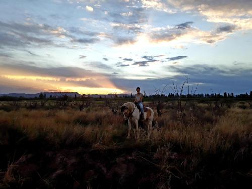 a person riding a horse in a field at sunset at Al Aire Libre in San Rafael