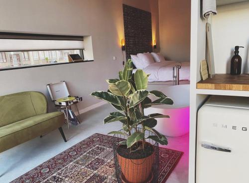 a living room with a potted plant and a bedroom at Home8 studio’s in Arnhem