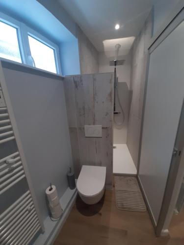 La petite salle de bains est pourvue d'une douche et de toilettes. dans l'établissement Inviting 1-Bed Apartment in Grezieu-la-Varenne, à Grézieu-la-Varenne