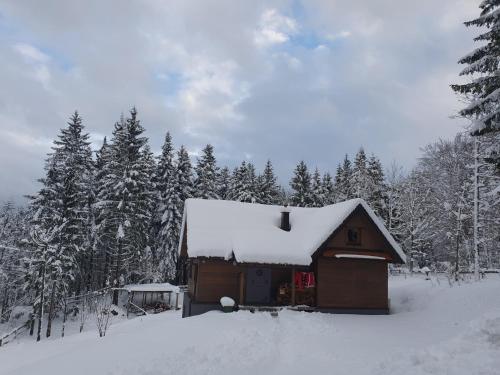 Starry Laz mountain house