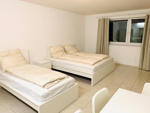 two beds in a white room with a window at Ganzes Apartment 20 min vom Frankfurt HBF in Langen