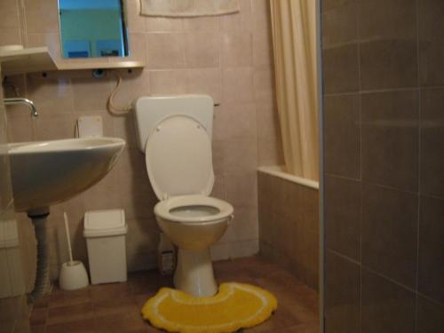 a bathroom with a toilet and a sink at Studio apartment in Novi Vinodolski with terrace, air conditioning, WiFi 4208-1 in Novi Vinodolski
