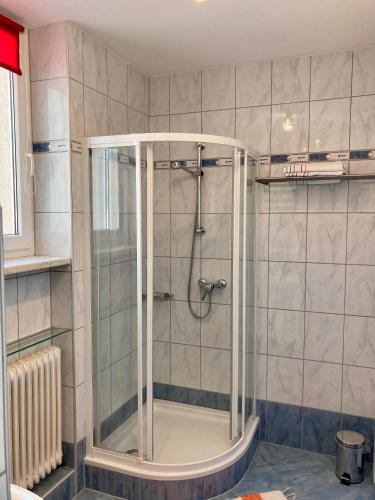 a shower with a glass door in a bathroom at Bodega Apartment in Villach
