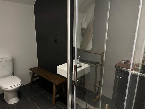 a bathroom with a toilet and a sink at Maison rivière très calme près de Chablis et Noyers sur serein chez un céramiste designer in Annay-sur-Serein