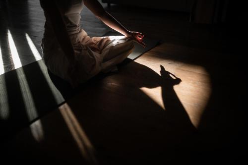 a shadow of a person kneeling on the floor at Hotel Cristallo in Solda