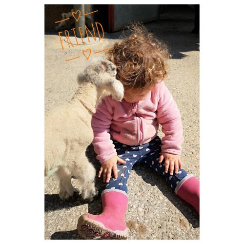 a little girl sitting on the ground with a dog at Bauernhof Kure in Leutschach